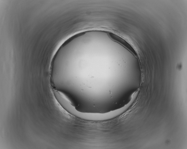 X0000096201532200802151514