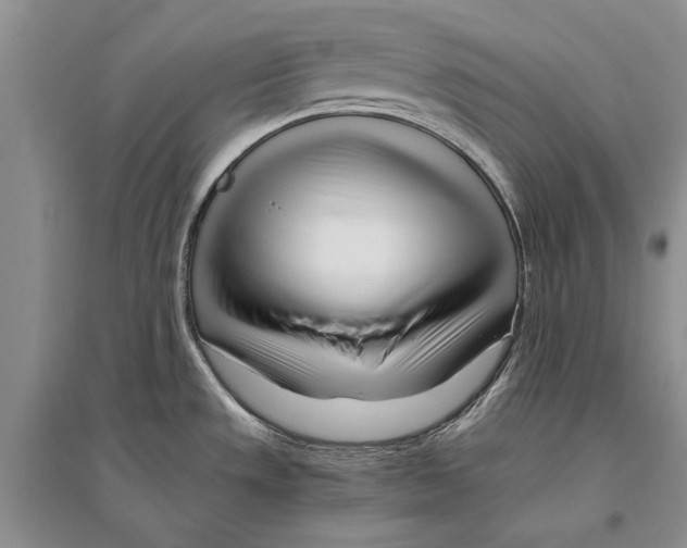 X0000096201533200802151514