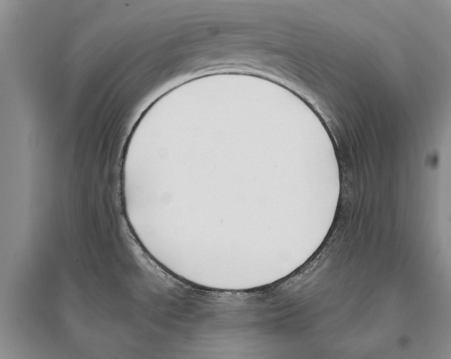 X0000096201534200802151514