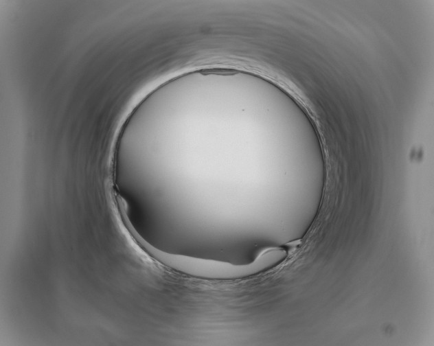 X0000096201536200802151514