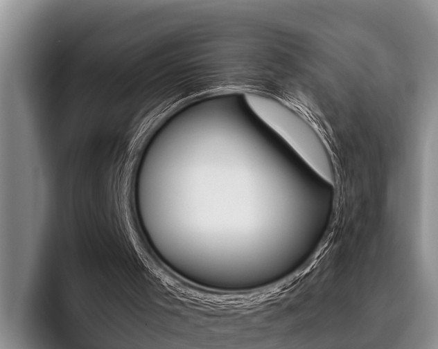 X0000096210001200801181019