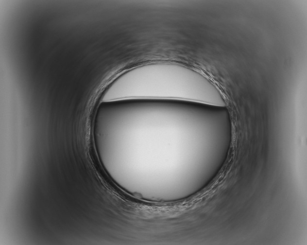 X0000096210005200801181019
