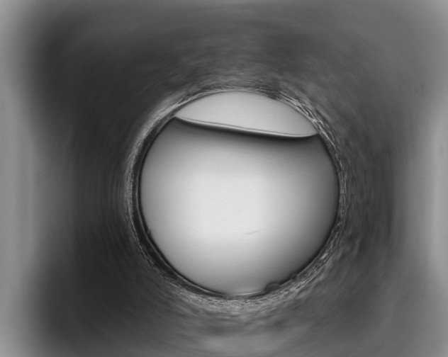 X0000096210006200801181018