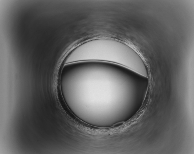 X0000096210007200801181018