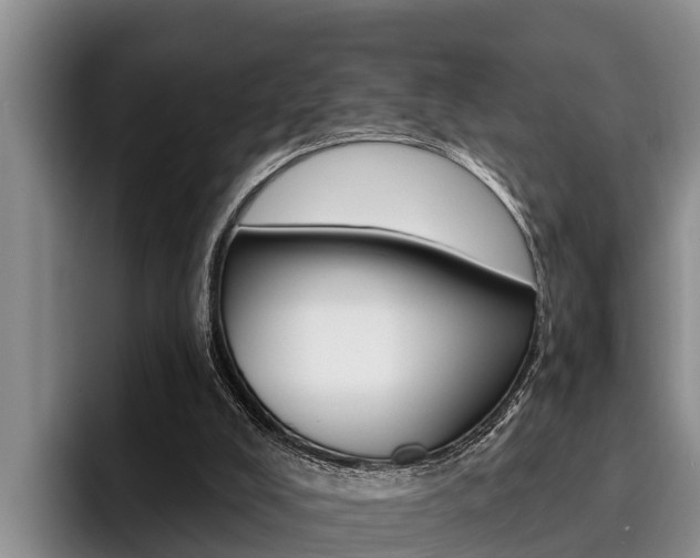 X0000096210008200801181018