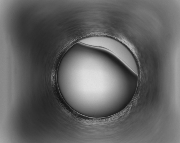 X0000096210009200801181018