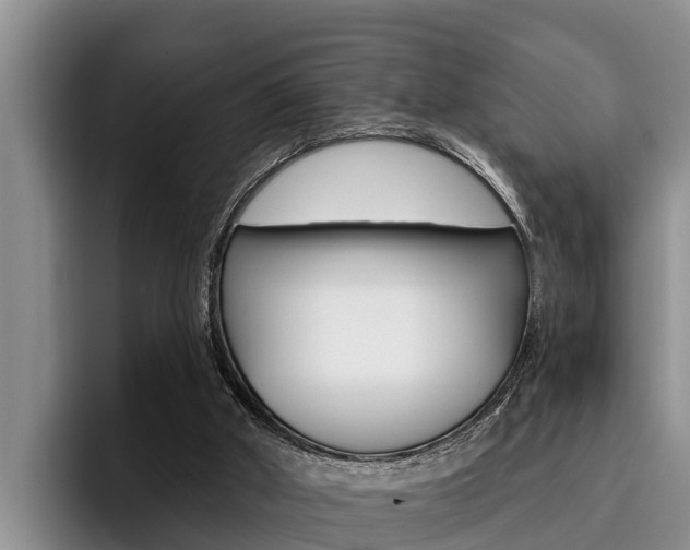 X0000096210010200801181018