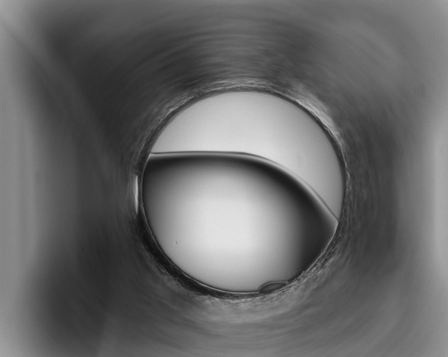 X0000096210013200801181018