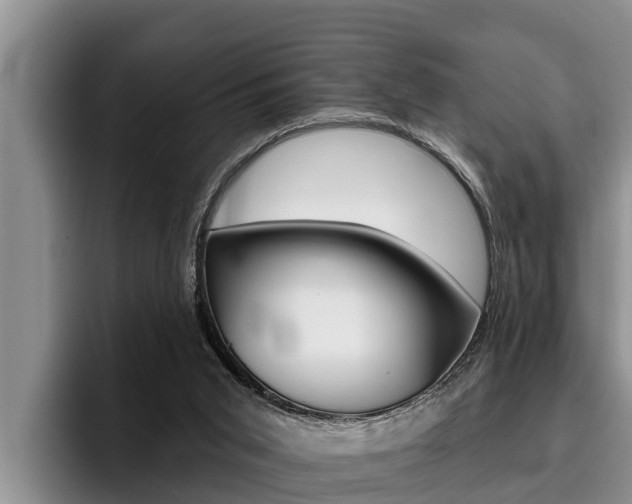 X0000096210015200801181018