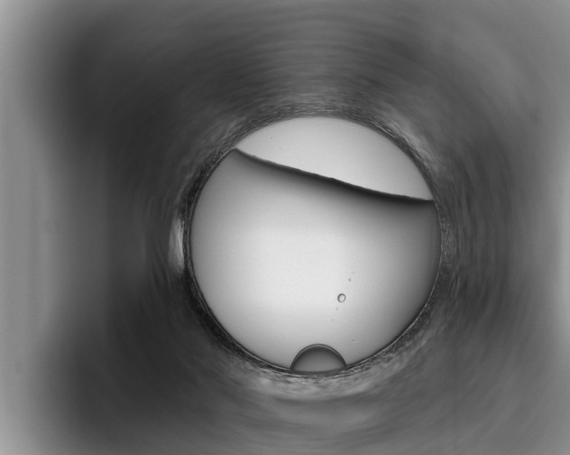 X0000096210022200801181018