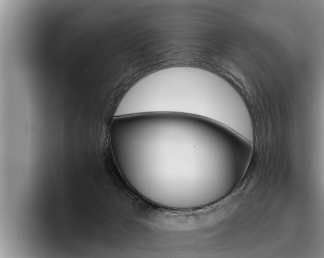 X0000096210029200801181018