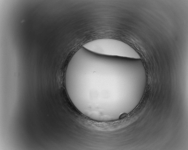 X0000096210030200801181018