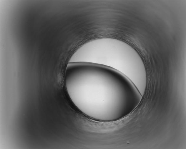 X0000096210031200801181018