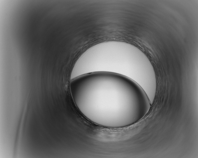 X0000096210033200801181018
