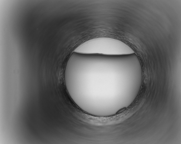 X0000096210034200801181018
