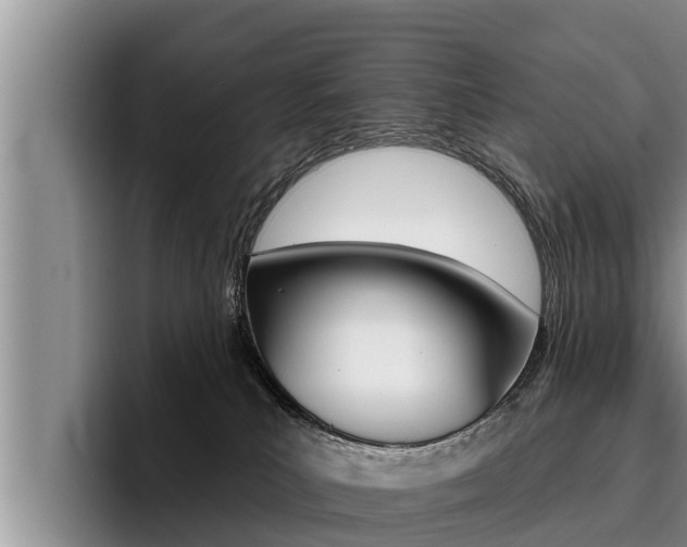 X0000096210039200801181018