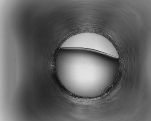 X0000096210040200801181018