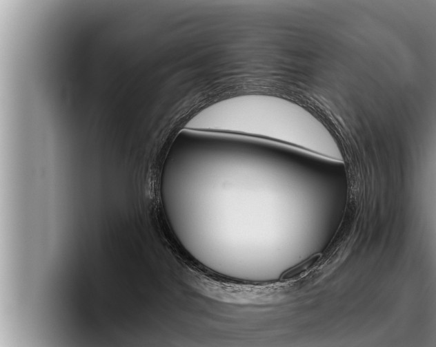 X0000096210044200801181018