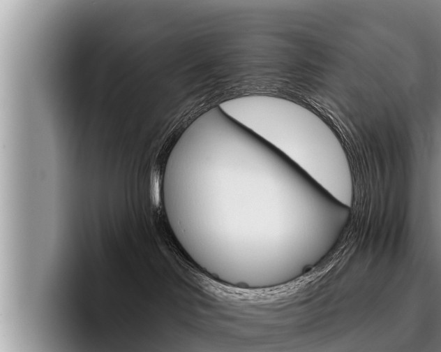 X0000096210046200801181018