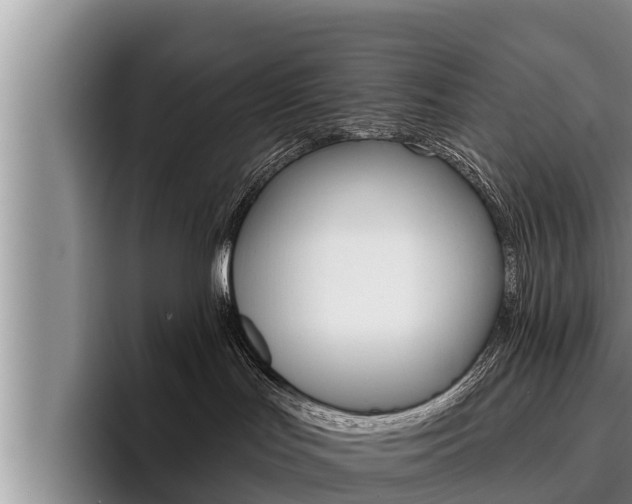 X0000096210047200801181018