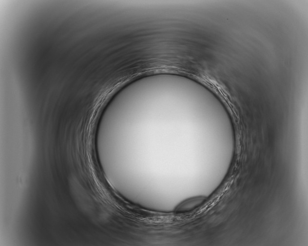 X0000096210049200801181017