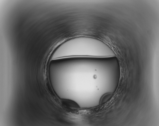 X0000096210050200801181017
