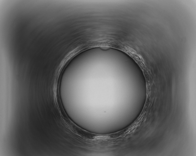 X0000096210051200801181017