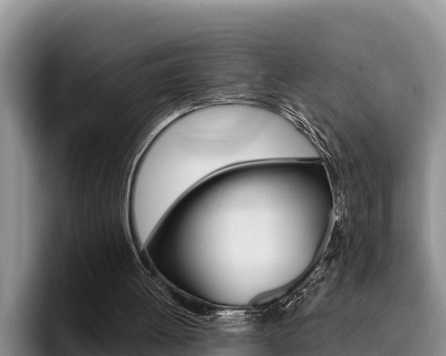X0000096210052200801181017
