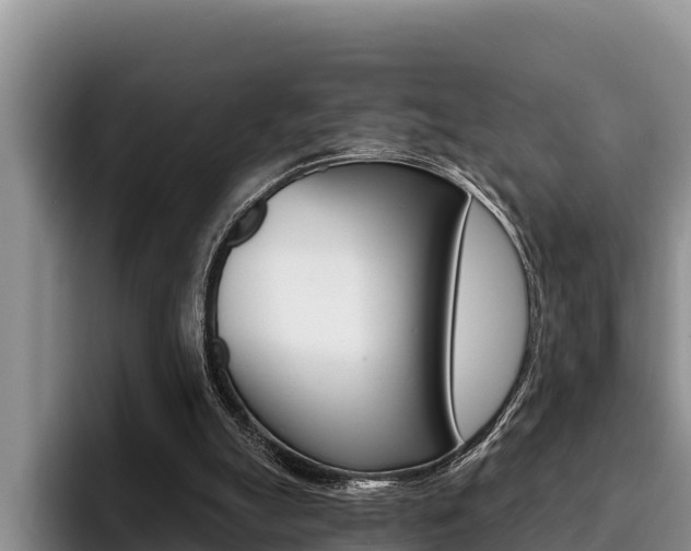 X0000096210055200801181017