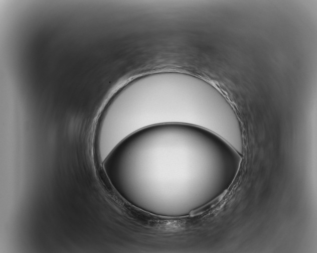 X0000096210056200801181017