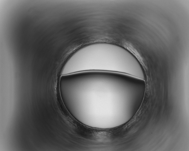 X0000096210058200801181017