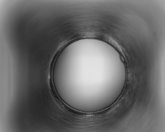 X0000096210059200801181017