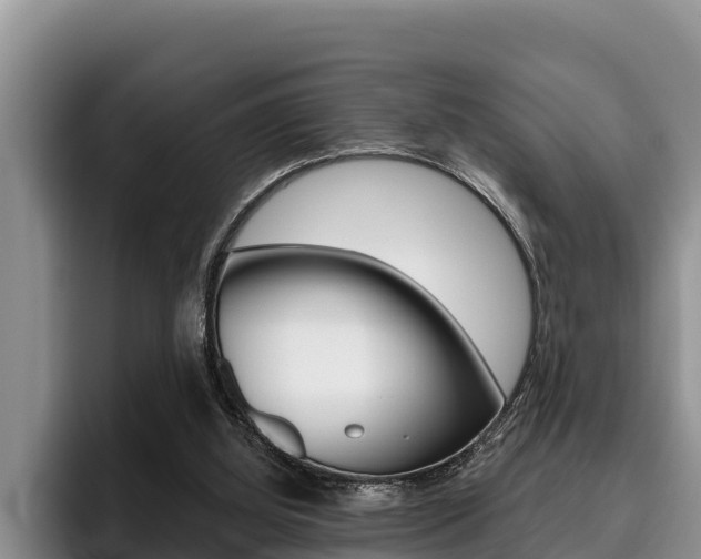 X0000096210060200801181017
