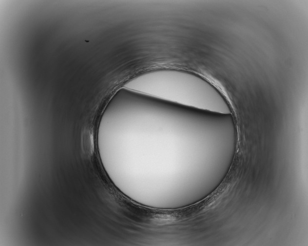 X0000096210061200801181017