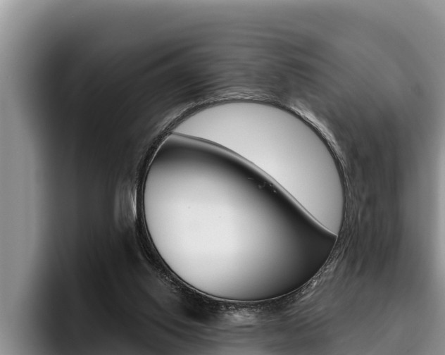 X0000096210062200801181017