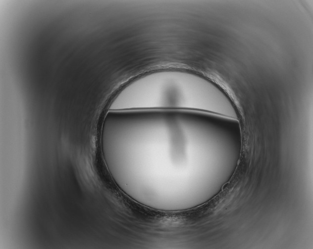X0000096210063200801181018