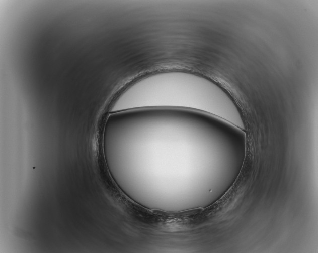X0000096210064200801181018