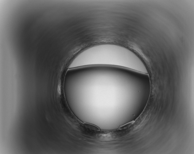 X0000096210068200801181018