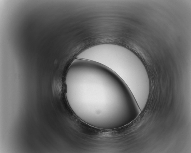 X0000096210072200801181018