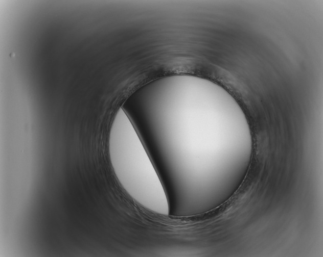 X0000096210073200801181018