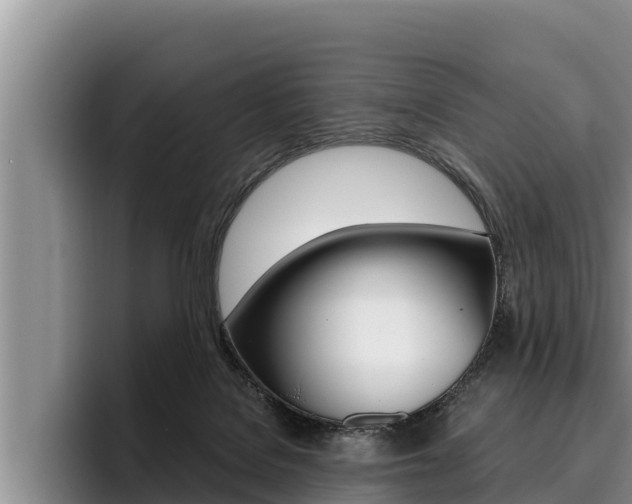 X0000096210076200801181018