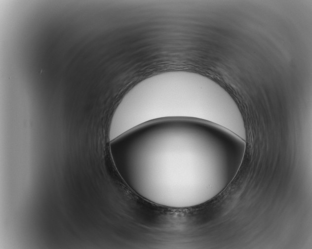 X0000096210080200801181018