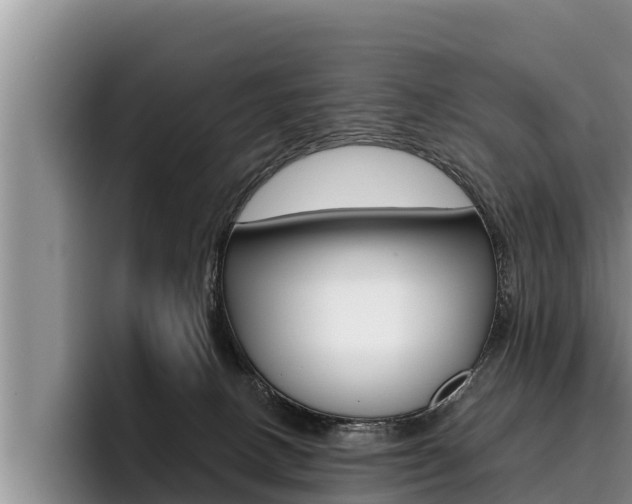 X0000096210082200801181018
