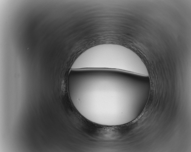 X0000096210086200801181018