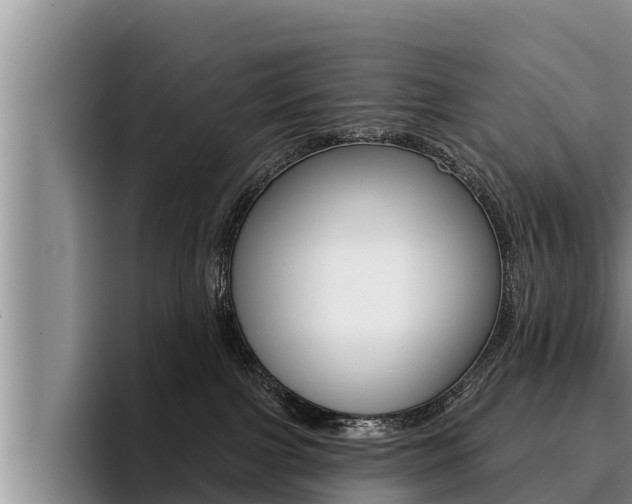 X0000096210091200801181018