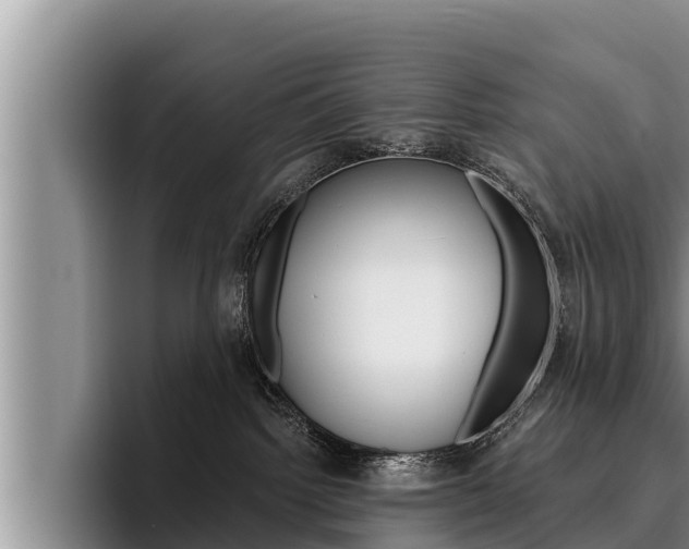 X0000096210092200801181018