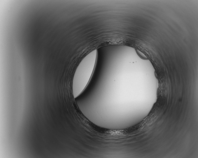 X0000096210093200801181018