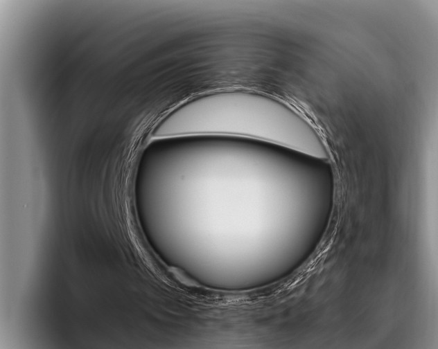 X0000096210097200801181017