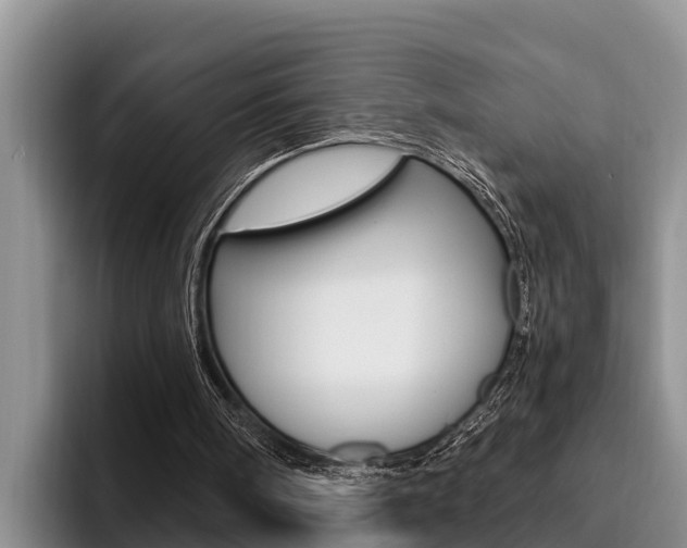 X0000096210098200801181017