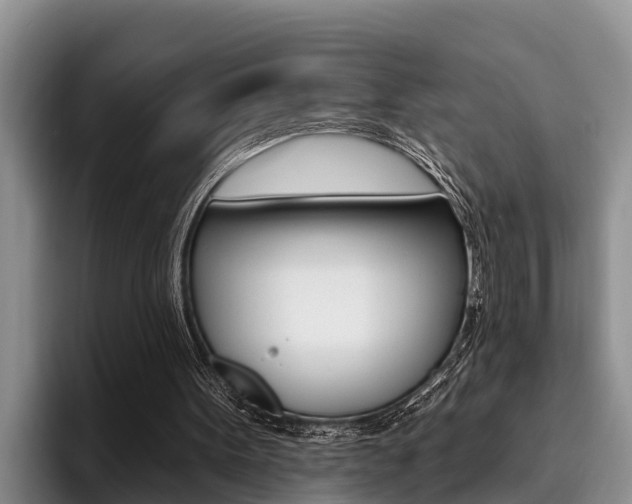 X0000096210099200801181017